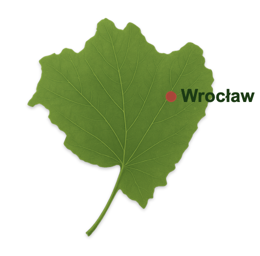 Wrocław i Dolny Śląsk